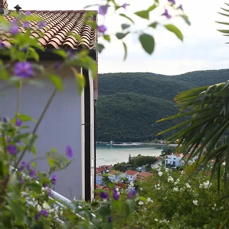 Apartment Pretty And Comfort, 1bdr App,great Sea View,wifi,41 Rabac