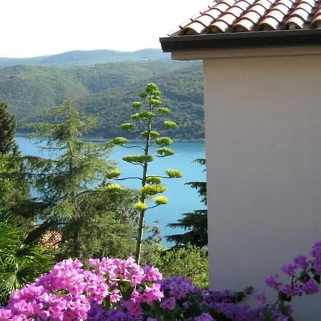 Pretty And Comfort, 1bdr App,great Sea View,wifi,41 Apartment *