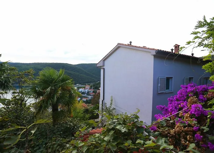 Pretty And Comfort, 1bdr App,great Sea View,wifi,41 Apartment Rabac